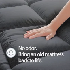 Dexmalle 450gsm Filled Cotton Mattress, 60*70in -Fradel & Spies GUEST 2bebbb96 8b18 4f72 8f38 a351b9a2f302