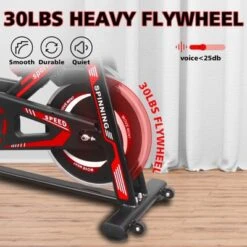 Dexmalle Indoor Exercise Bike Cycling Bike With Comfortable Seat Cushion Black+Red