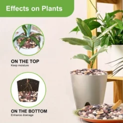 Dexmalle 38lbs Decorative Garden Stone Outdoor Landscaping -Fradel & Spies GUEST 4fce5fe3 6985 4510 b675 41558fa3570e