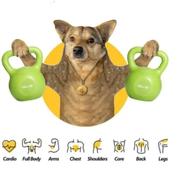 Dexmalle 5lbs 10lbs 15lbs 20lbs Kettlebell Set -Fradel & Spies GUEST 51fc564d 1127 4bf2 823b 0388c86bce77 1