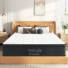 Dexmalle 8 Inch Hybrid Mattress, Individually Pocketed Innerspring -Fradel & Spies GUEST 595a4e10 0905 42f9 81b6 0954f2c7b480