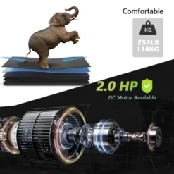 Dexmalle Folding Treadmill For Home Workout -Fradel & Spies GUEST f5794fd3 25fb 4f2d 9459 f6b0181a5040 1