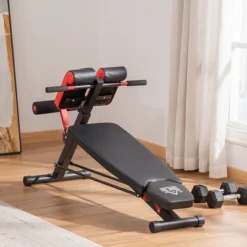 Dexmalle Adjustable Hyper Extension Dumbbell Weight Bench 14 Dexmalle Adjustable Hyper Extension Dumbbell Weight Bench -Fradel & Spies GUEST fe4f2cab 12ae 410f b5a8 263db3f8427a